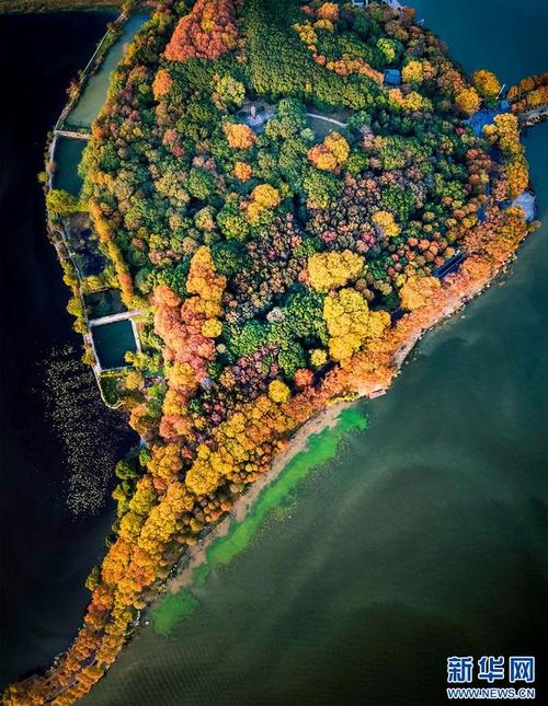 圖為武漢市沙湖公園在武漢園博園的整體設計中,武漢園林院將荊楚文化