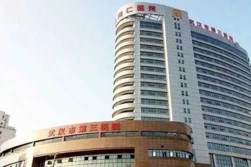 武漢市第三醫(yī)院未來(lái)科技城院區(qū)在哪[地址 建設(shè)進(jìn)展](圖2)