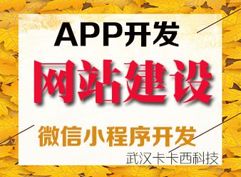 武漢企業(yè)做公司營銷型網(wǎng)站頁面布局設計思路