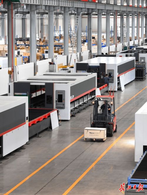 企業(yè)來了能活,生而能長 光谷 熱帶雨林式 產(chǎn)業(yè)生態(tài)如何煉成