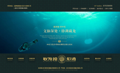 聯發投項目網站_成功案例_武漢筑巢數字傳.@幕旗山領袖采集到設計(66圖)_花瓣平面設計