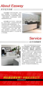 武漢網(wǎng)站建設(shè)與網(wǎng)絡(luò)營銷知識(shí) 全方位服務(wù)助力企業(yè)數(shù)字化轉(zhuǎn)型